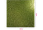 ประเทศจีน กระดาษ Glitter สีเขียวขนาด 300 กรัมสมุดบันทึก Scrapbooking สองด้าน ผู้ส่งออก